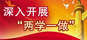 两学一做专题